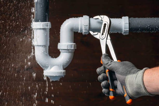 Professional Plumbing technician working in Walnut Bottom, PA